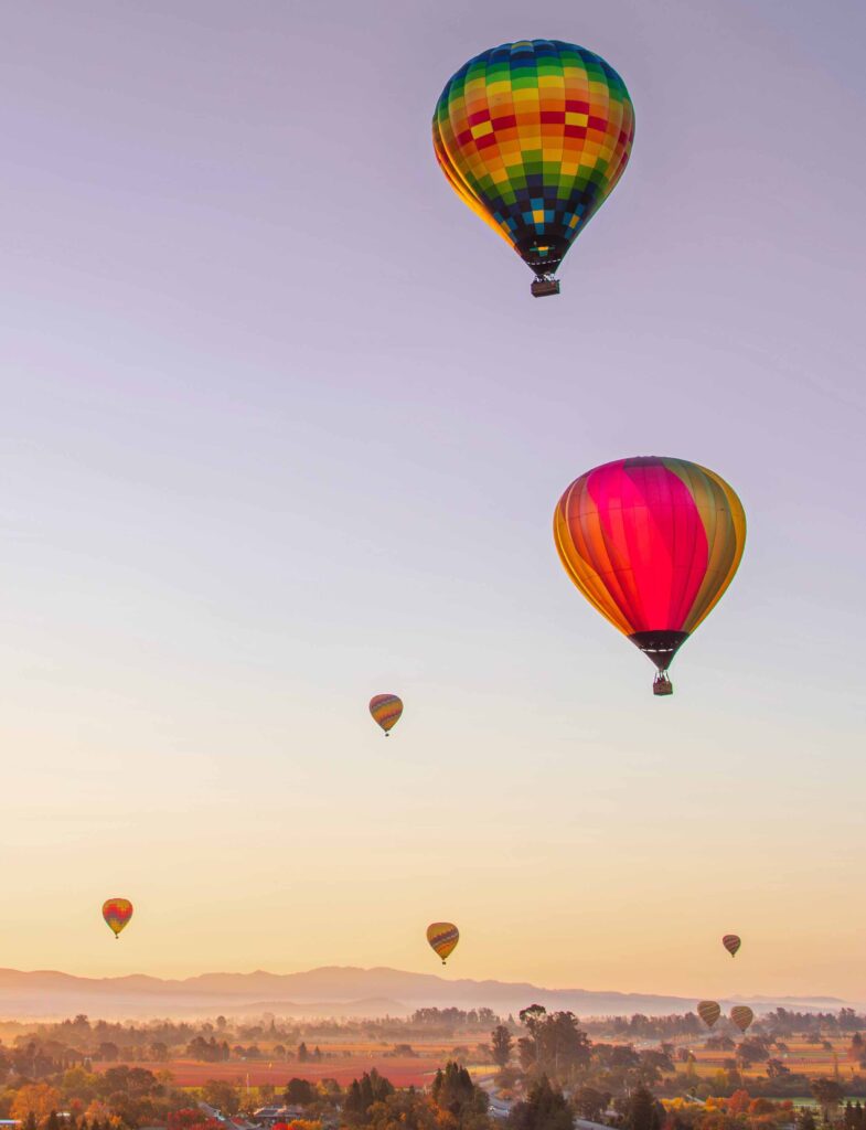 Wine Country Palette